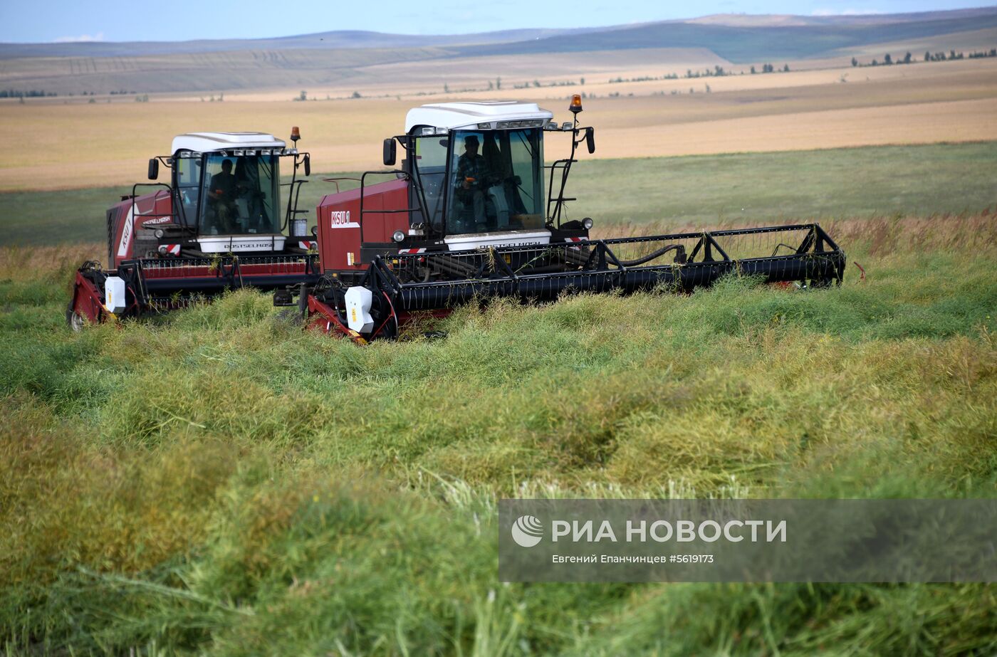 Кормозаготовительные работы в Забайкалье