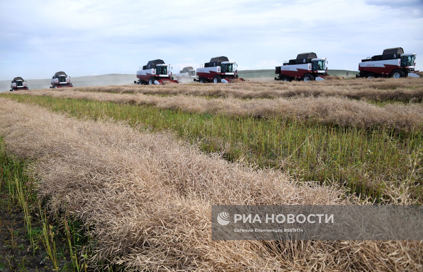 Кормозаготовительные работы в Забайкалье