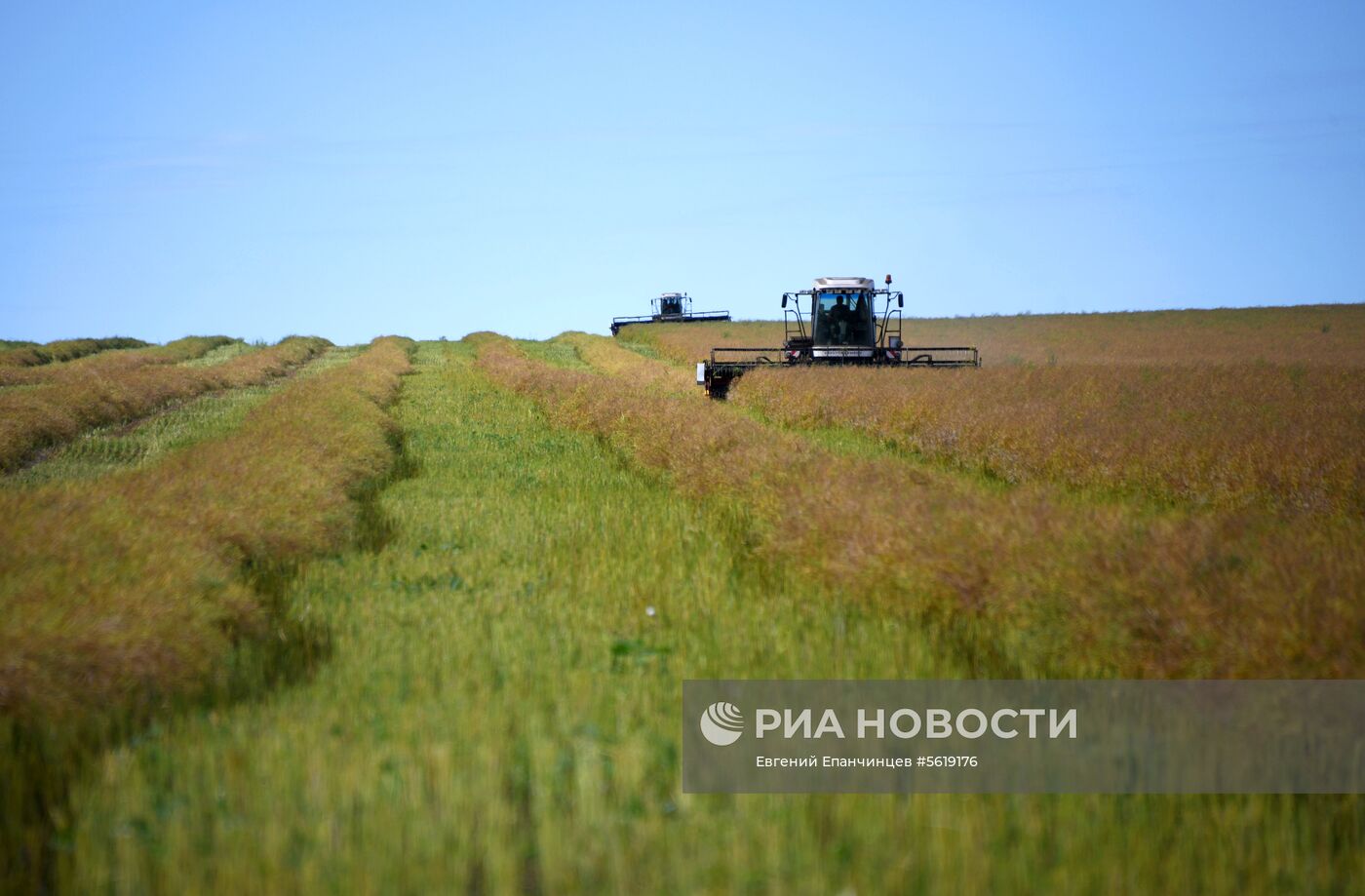 Кормозаготовительные работы в Забайкалье