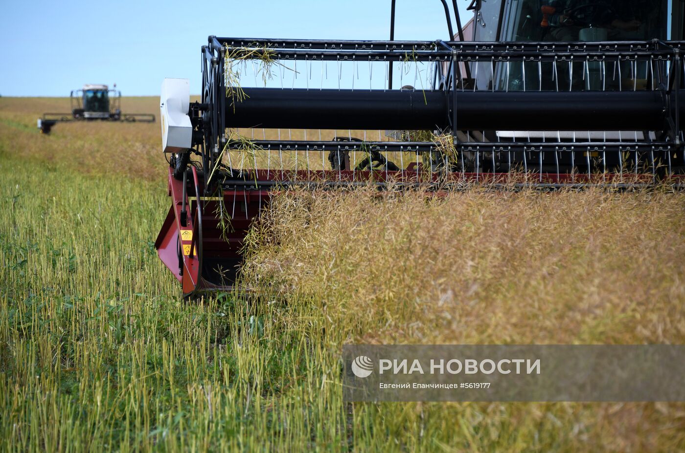 Кормозаготовительные работы в Забайкалье