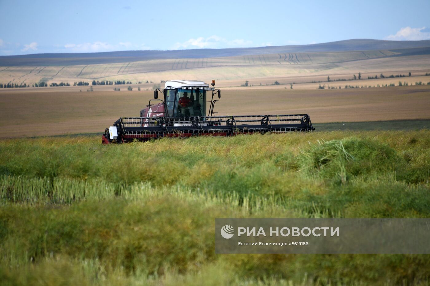 Кормозаготовительные работы в Забайкалье