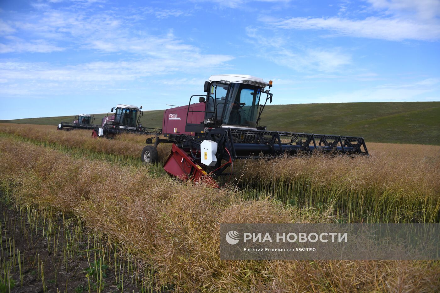 Кормозаготовительные работы в Забайкалье