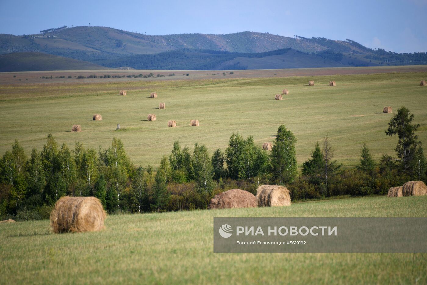 Кормозаготовительные работы в Забайкалье