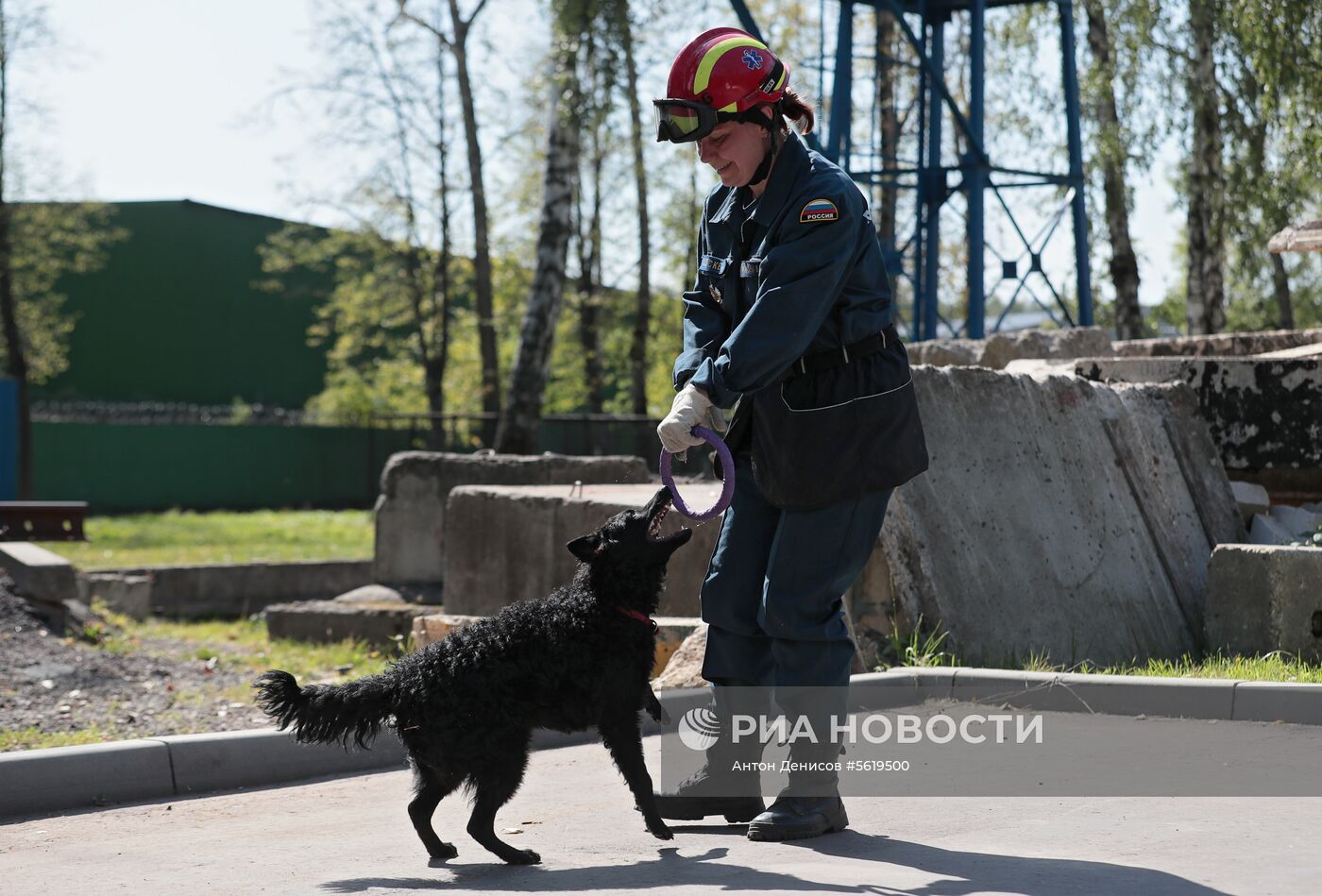 Тренировка собак-спасателей МЧС