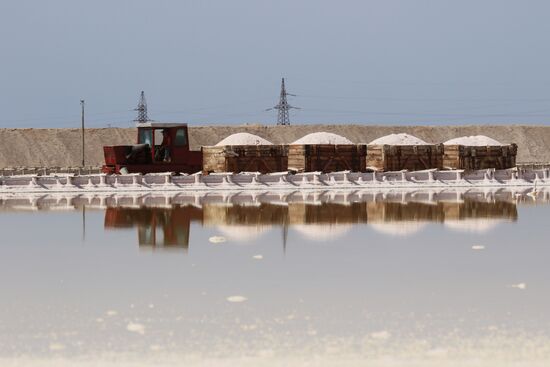 Добыча соли на озере Сасык-Сиваш