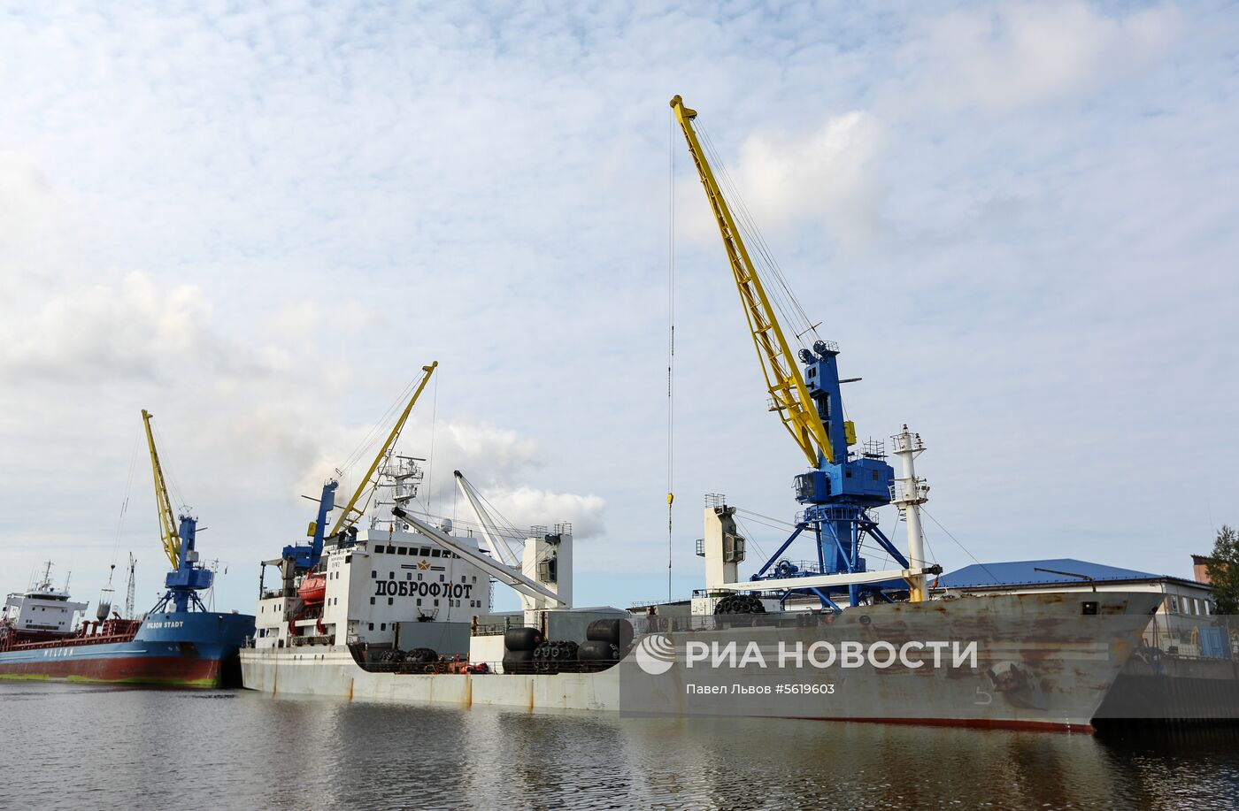 Прибытие парохода с дальневосточной красной рыбой в Архангельск