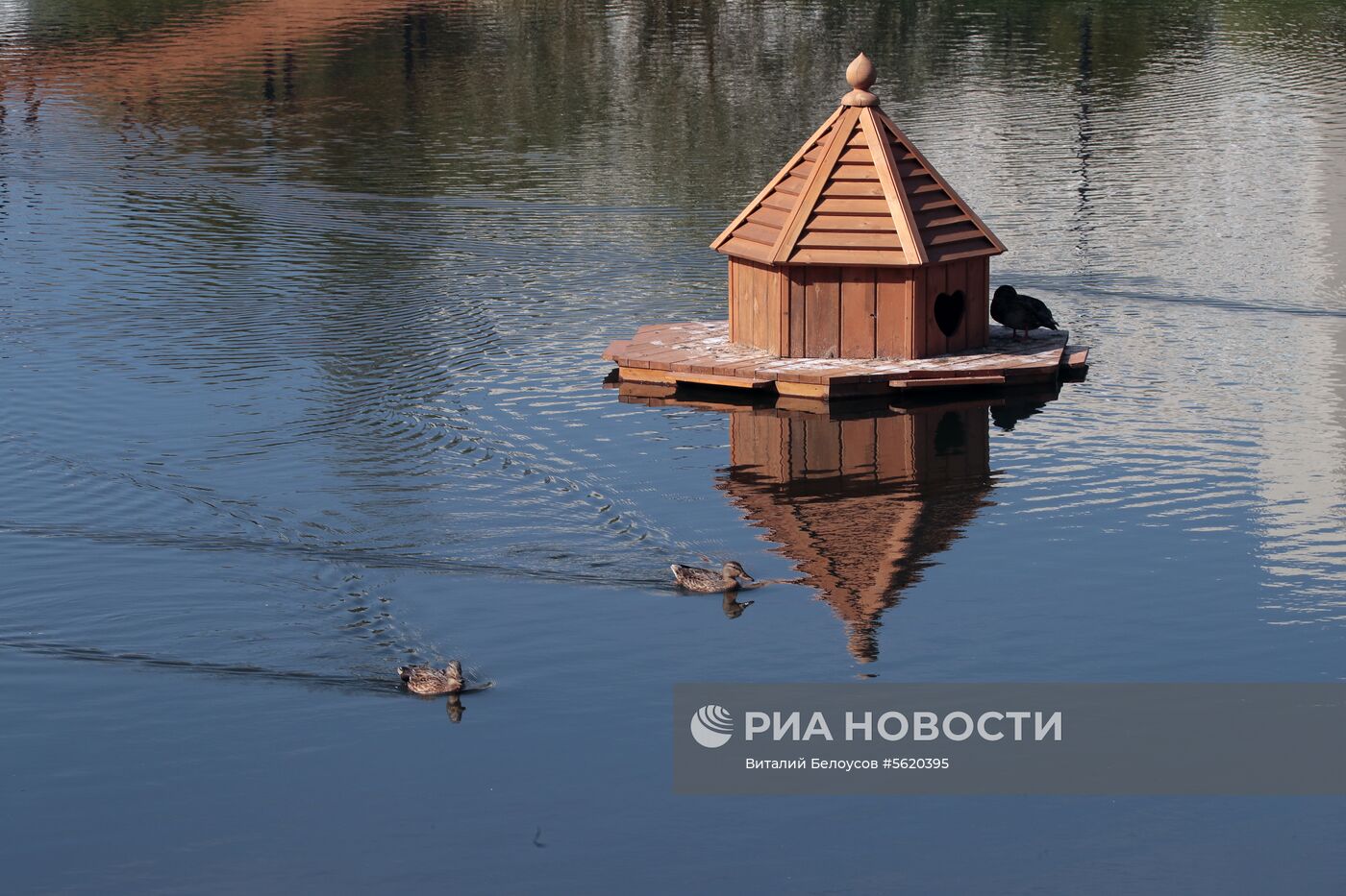 Ландшафтный парк "Южное Бутово"