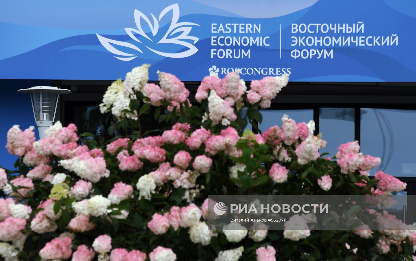 Оформление Владивостока к Восточному экономическому форуму