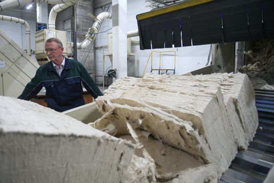 Санкт-Петербургская бумажная фабрика АО "Гознак"