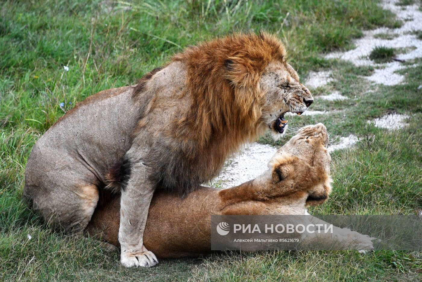 Сафари-парк «Тайган» в Крыму