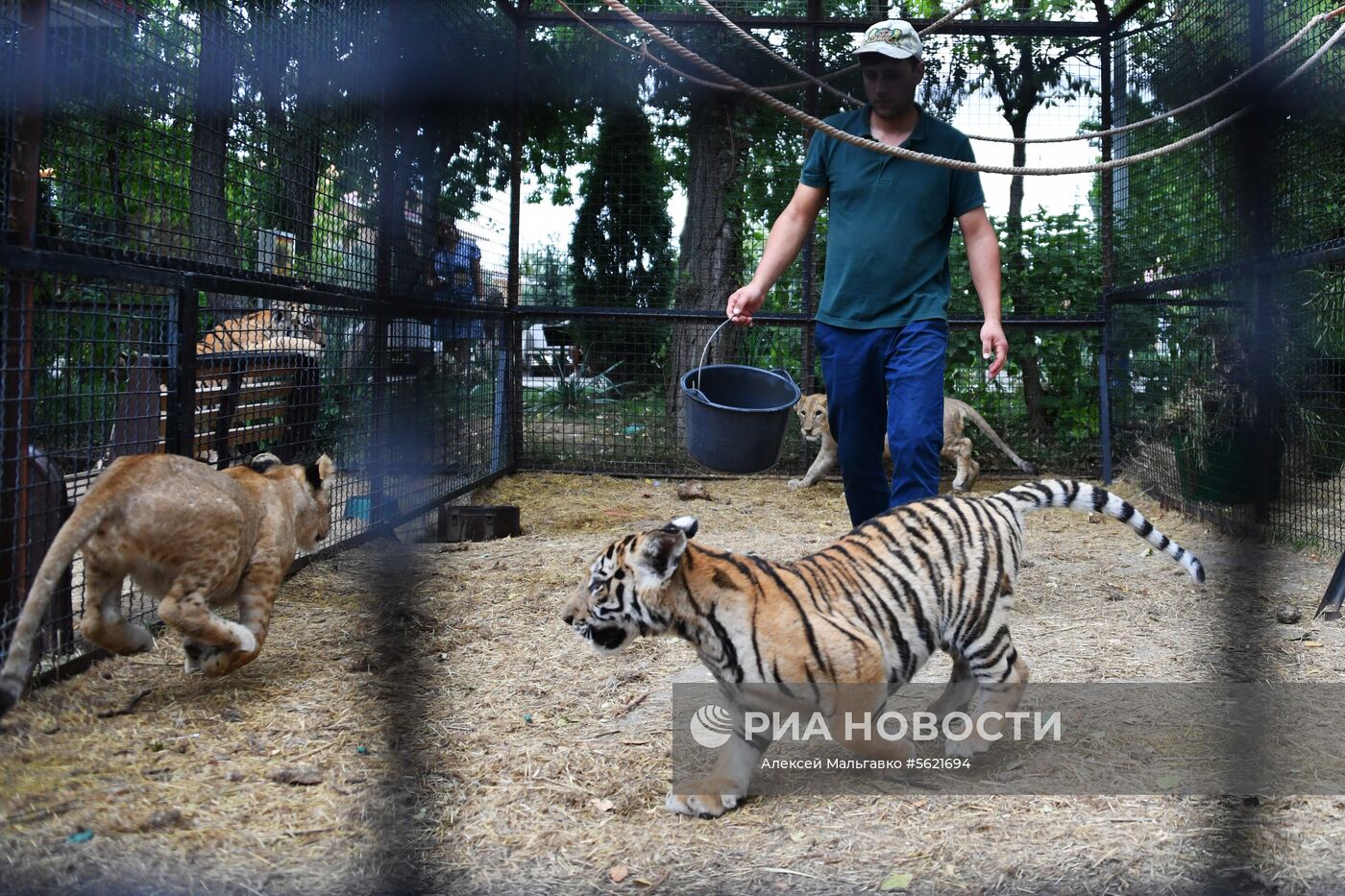 Кем был организован зоопарк. Сеульский зоопарк. Зоопарк на краснопресненской. Кем был организован зоопарк. Риджентс парк зоопарк.