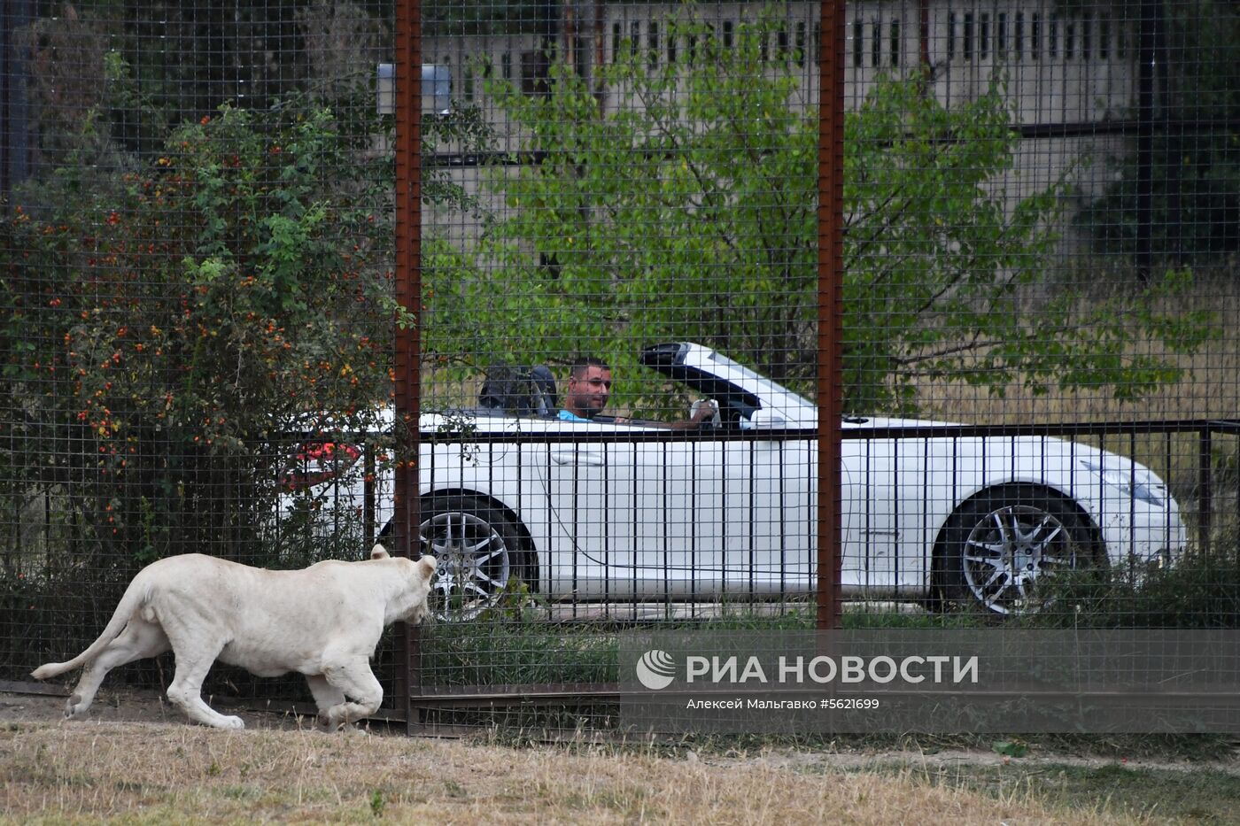 Сафари-парк «Тайган» в Крыму