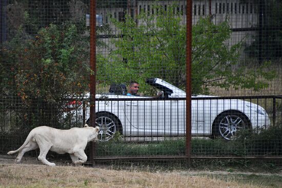 Сафари-парк «Тайган» в Крыму