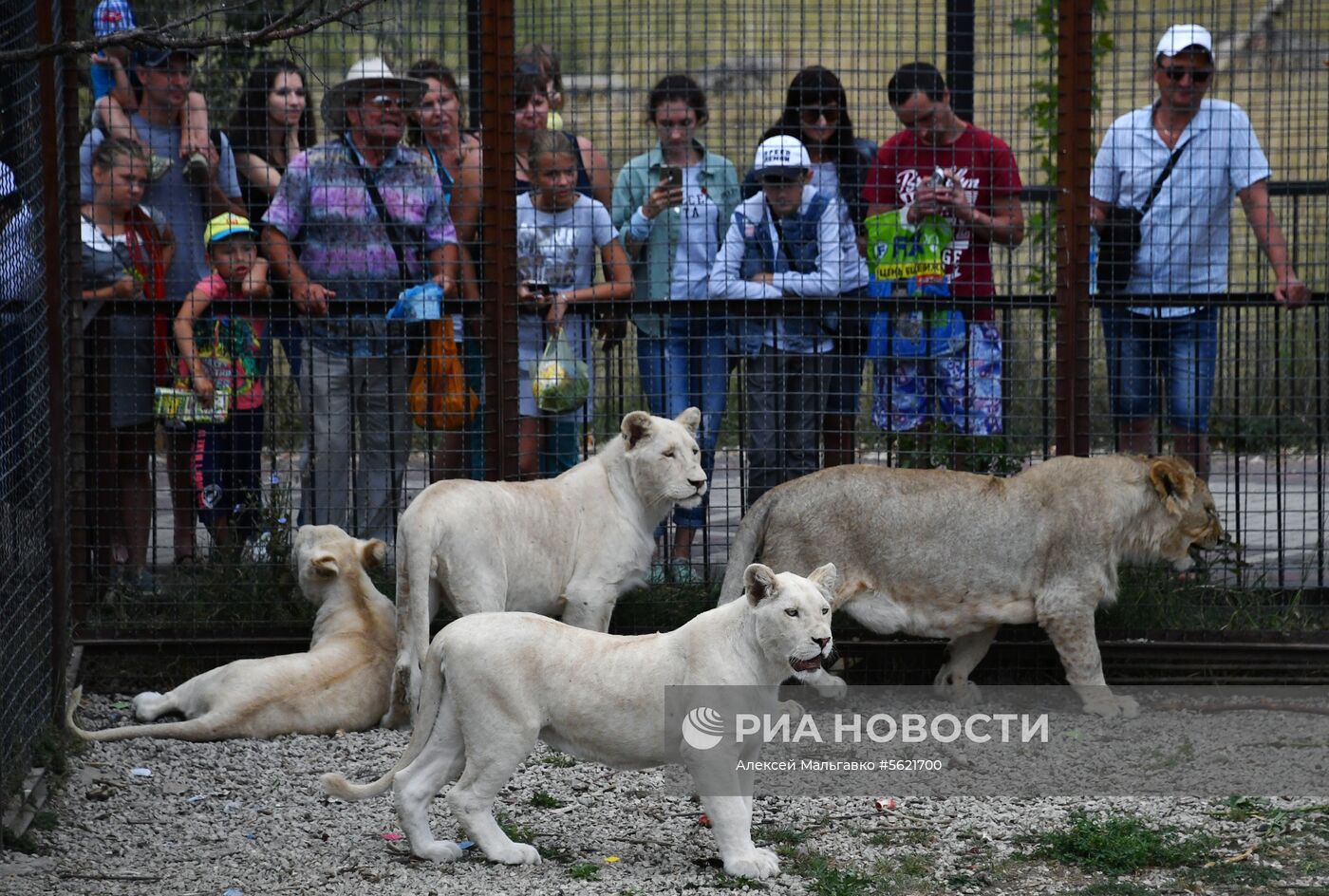 Сафари-парк «Тайган» в Крыму