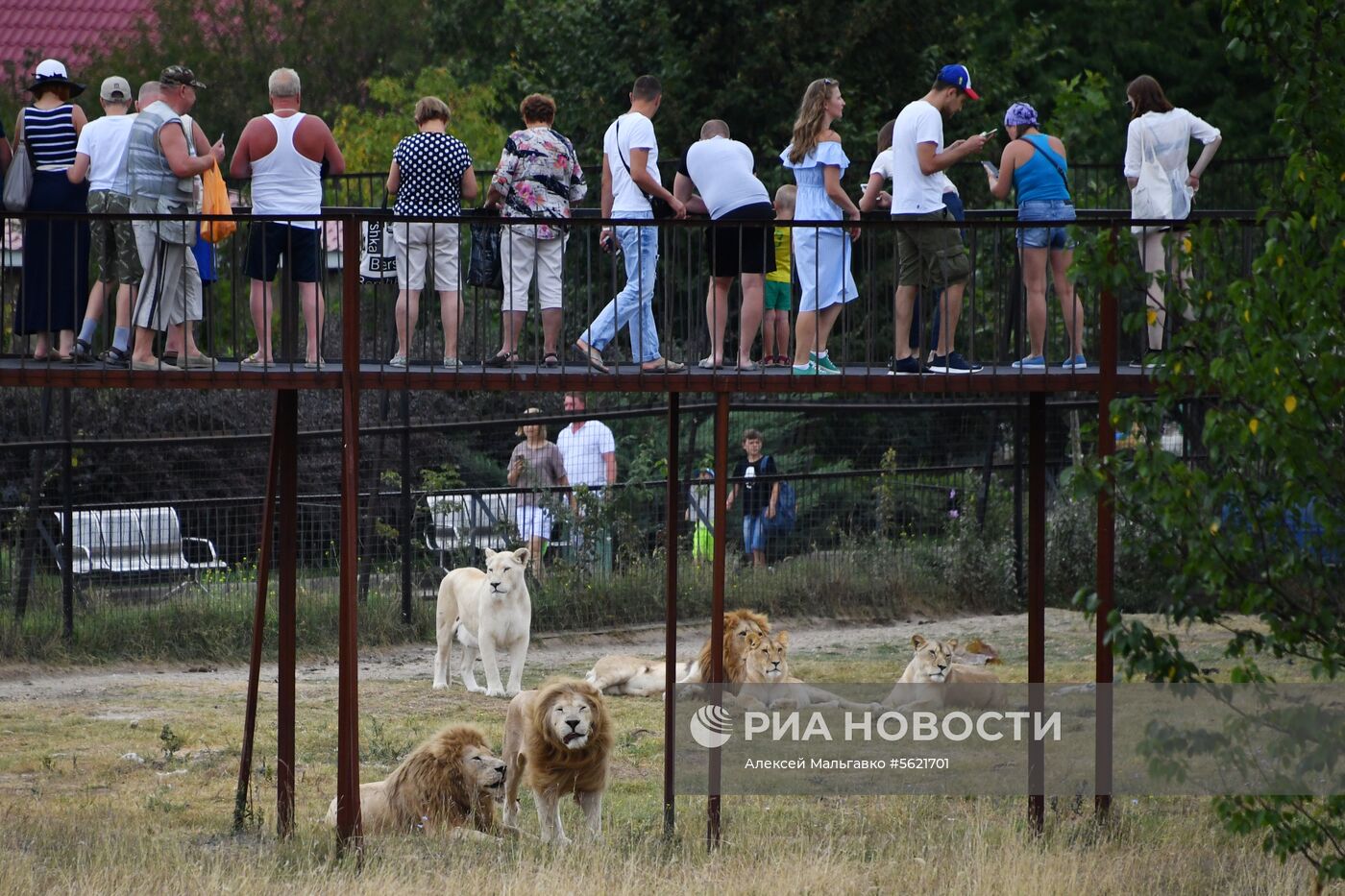 Сафари-парк «Тайган» в Крыму