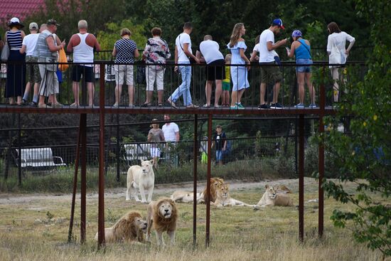 Сафари-парк «Тайган» в Крыму