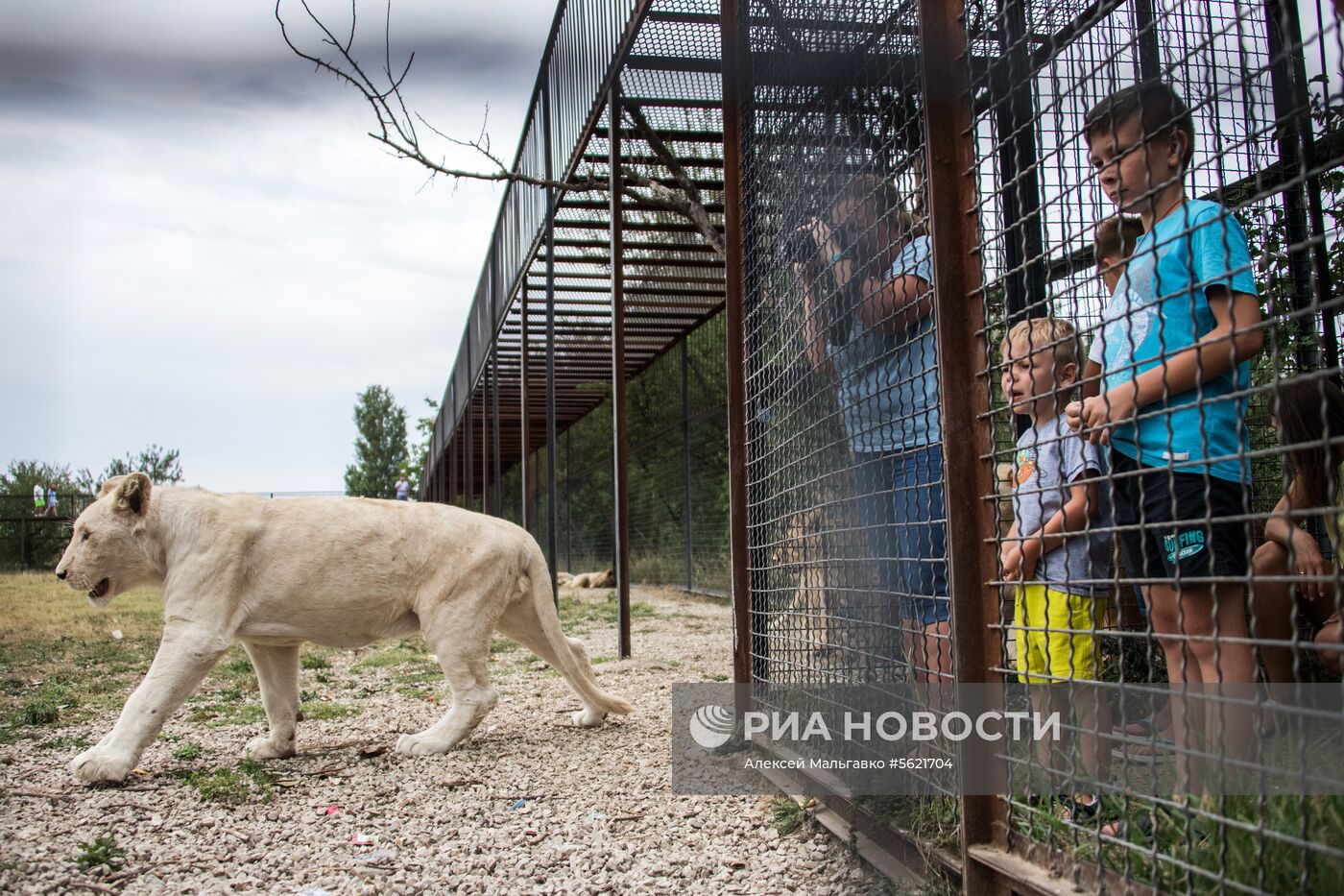 Сафари-парк «Тайган» в Крыму