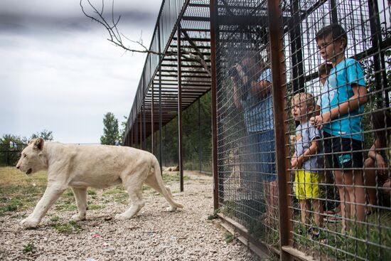 Сафари-парк «Тайган» в Крыму