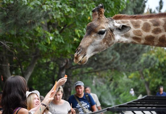 Сафари-парк «Тайган» в Крыму