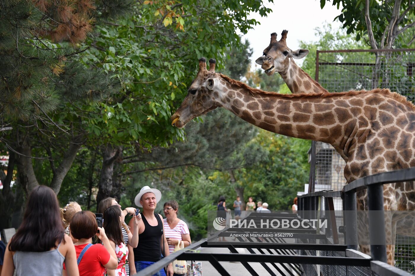 Сафари-парк «Тайган» в Крыму