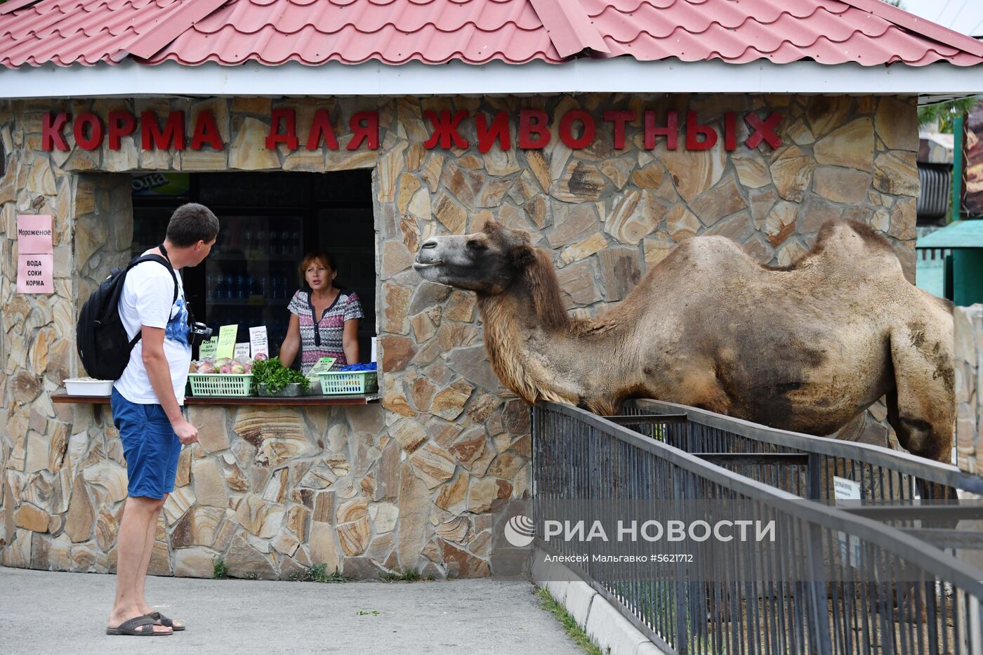 Сафари-парк «Тайган» в Крыму