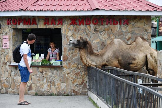 Сафари-парк «Тайган» в Крыму