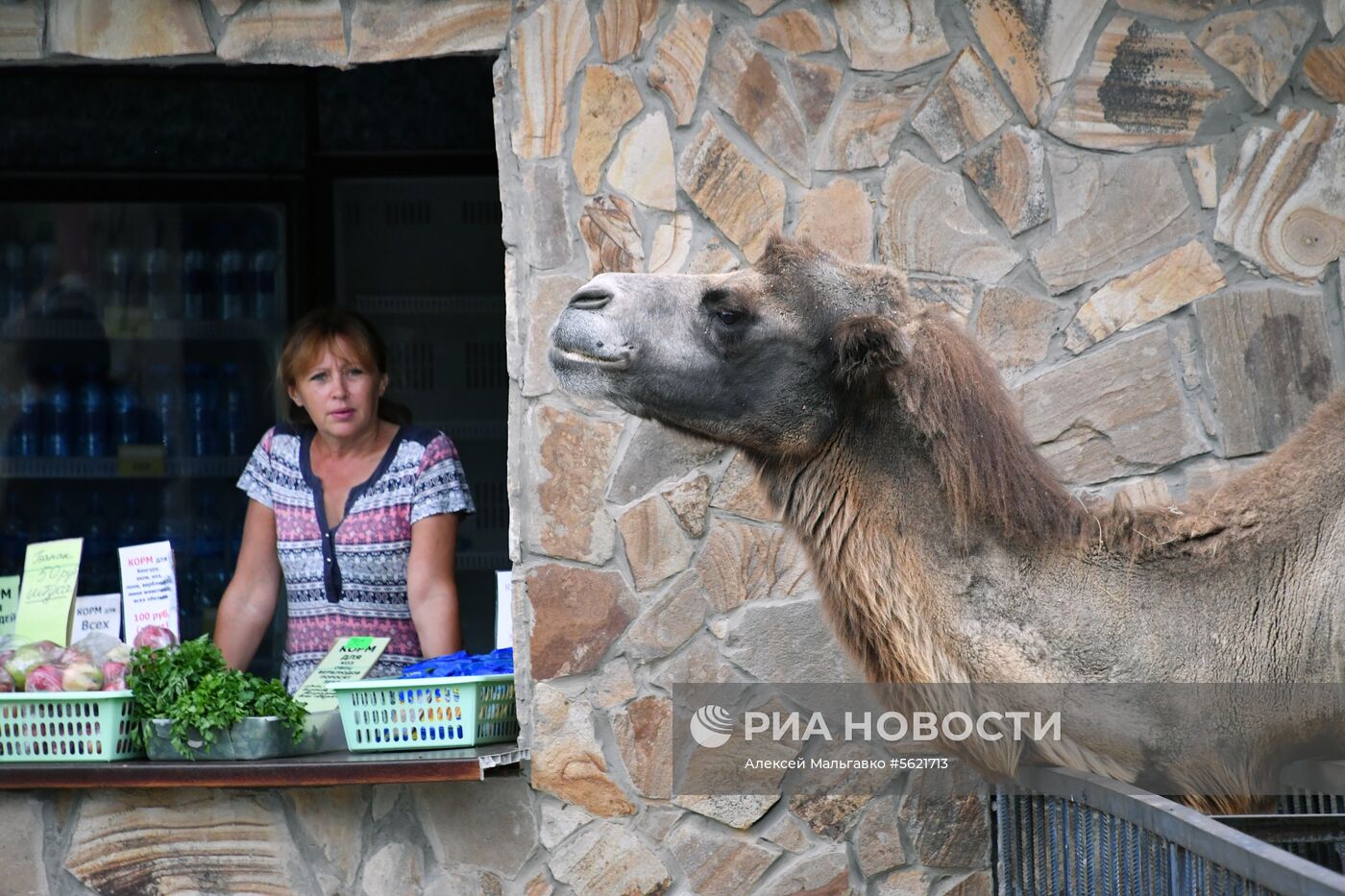 Сафари-парк «Тайган» в Крыму