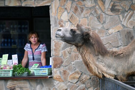 Сафари-парк «Тайган» в Крыму