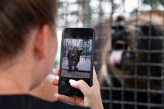 Сафари-парк «Тайган» в Крыму