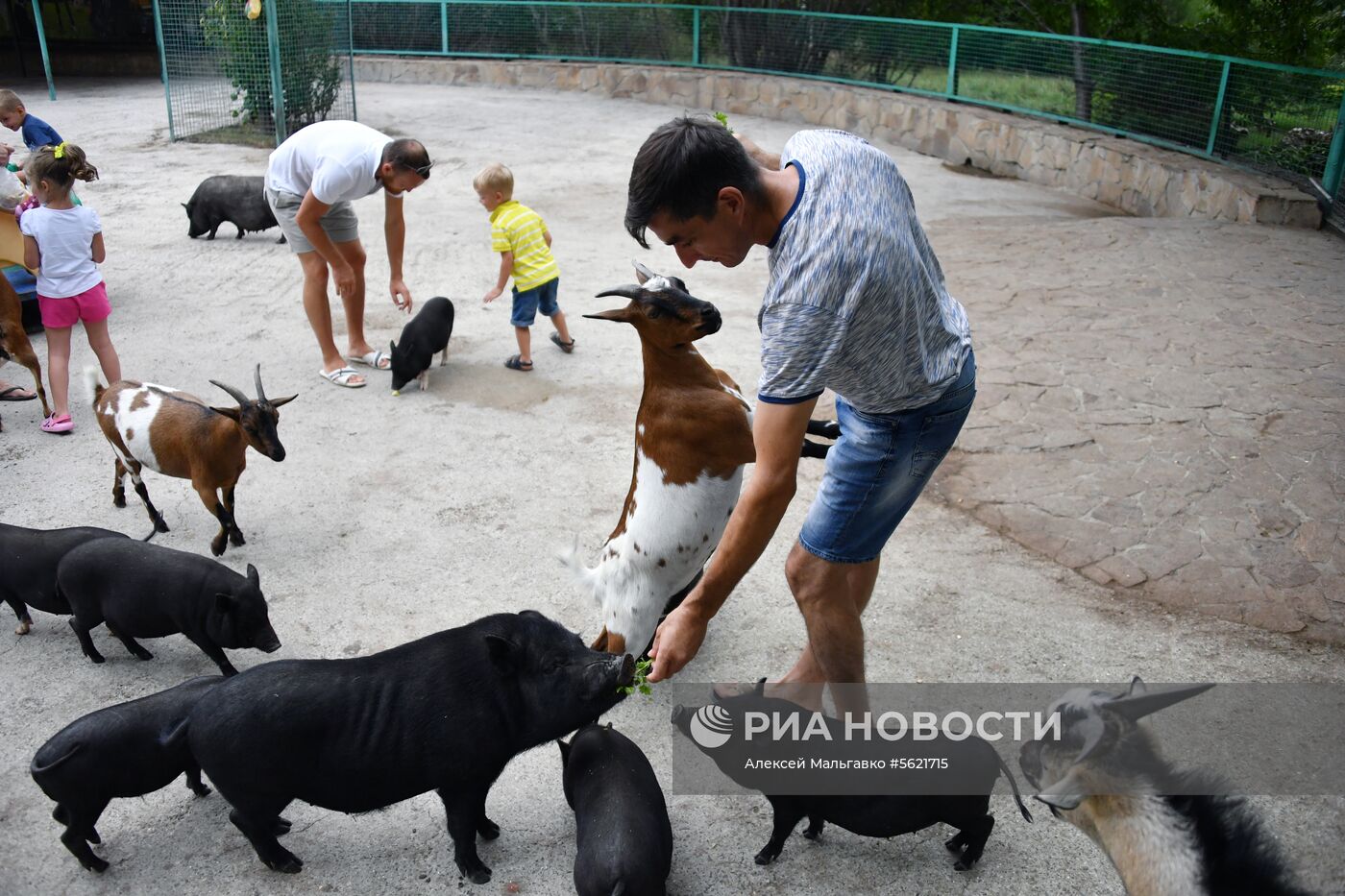 Сафари-парк «Тайган» в Крыму