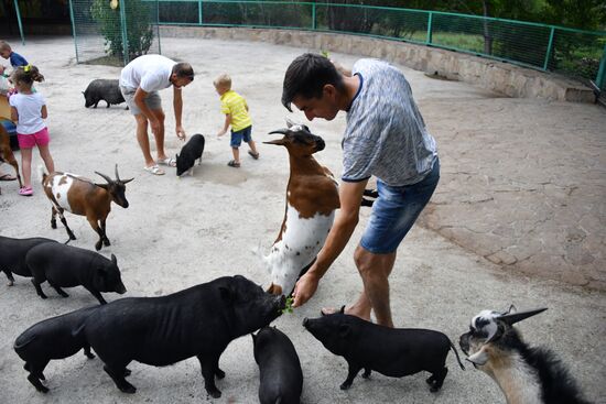Сафари-парк «Тайган» в Крыму