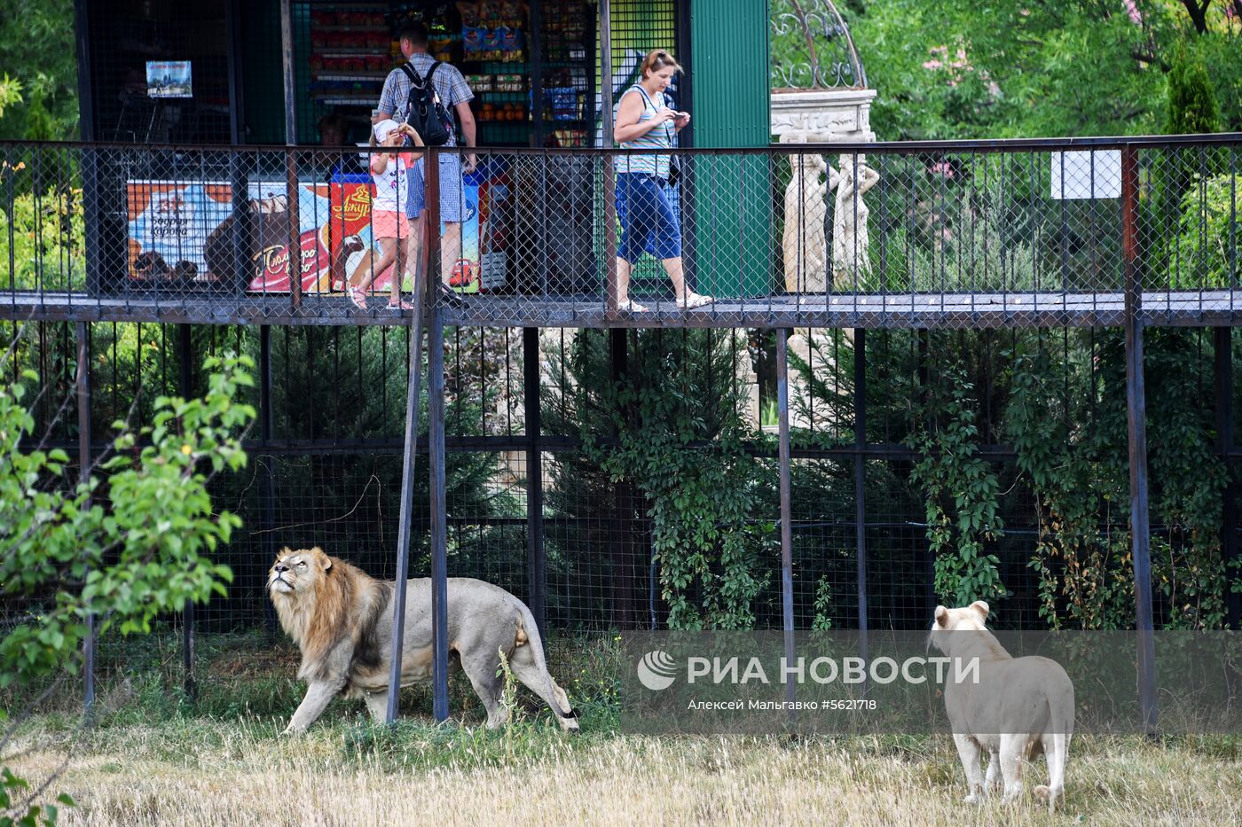 Сафари-парк «Тайган» в Крыму