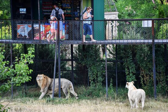 Сафари-парк «Тайган» в Крыму