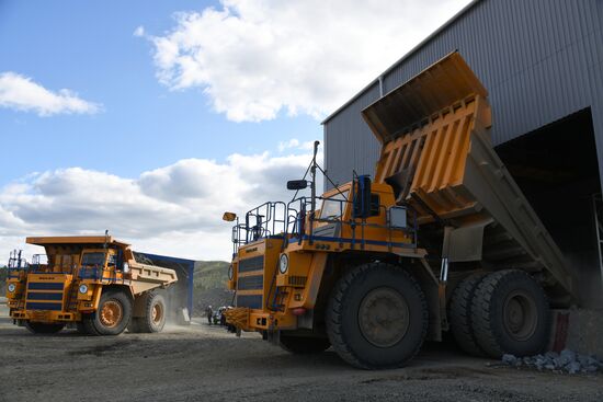 Быстринский горно-обогатительный комбинат 