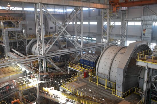 Быстринский горно-обогатительный комбинат 