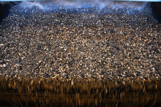 Быстринский горно-обогатительный комбинат 