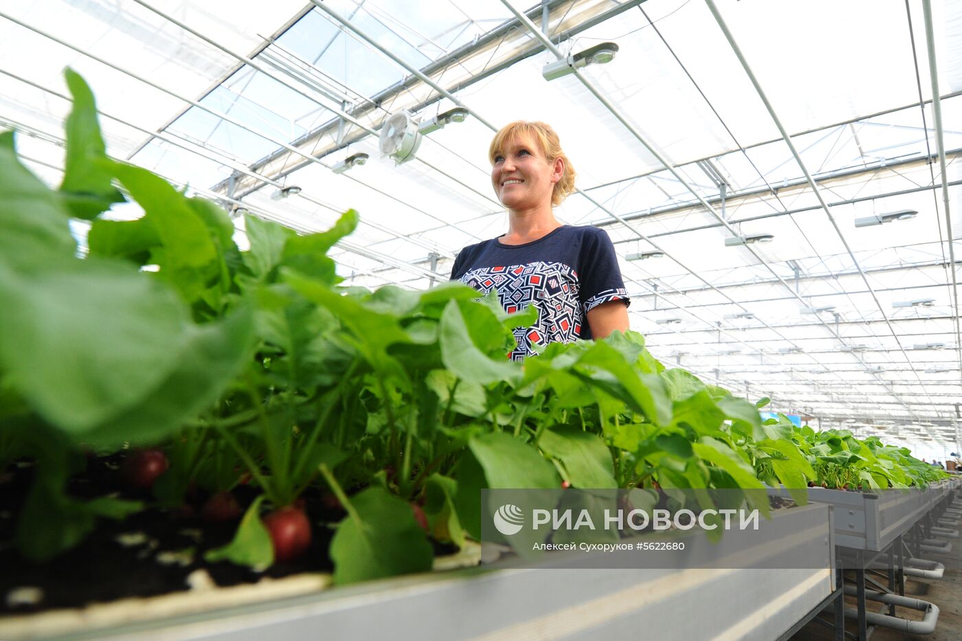 Тепличное хозяйство в Тамбовской области