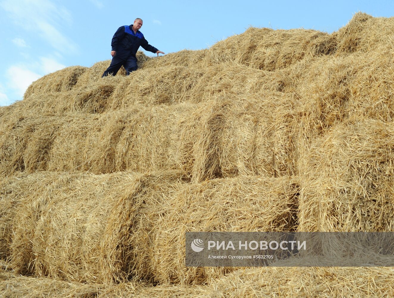 Племенной завод в Тамбовской области