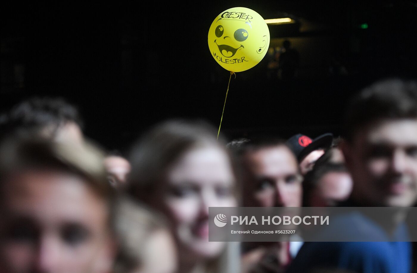 Концерт Майка Шиноды