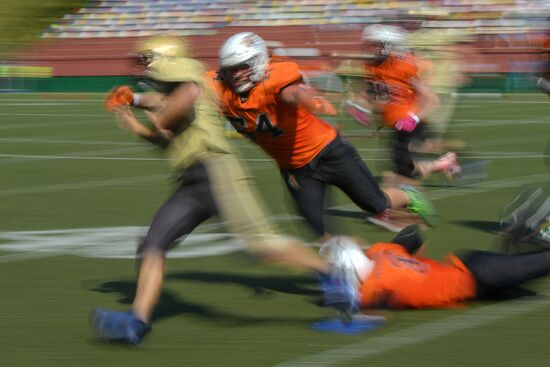 Лига американского футбола. Финал