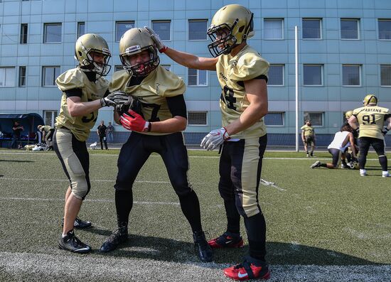 Лига американского футбола. Финал