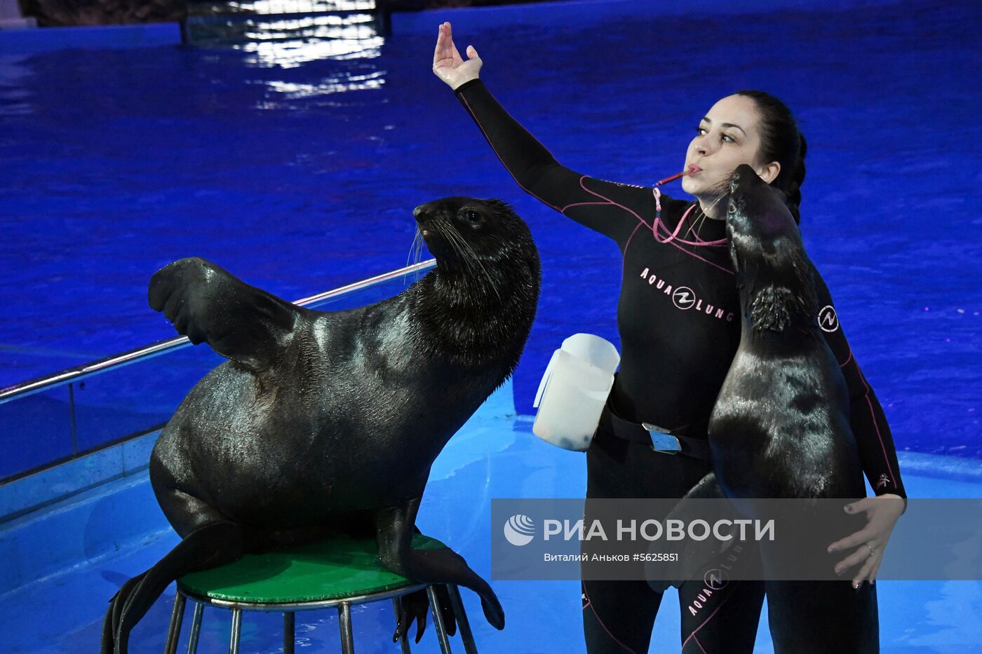 Приморский  океанариум 