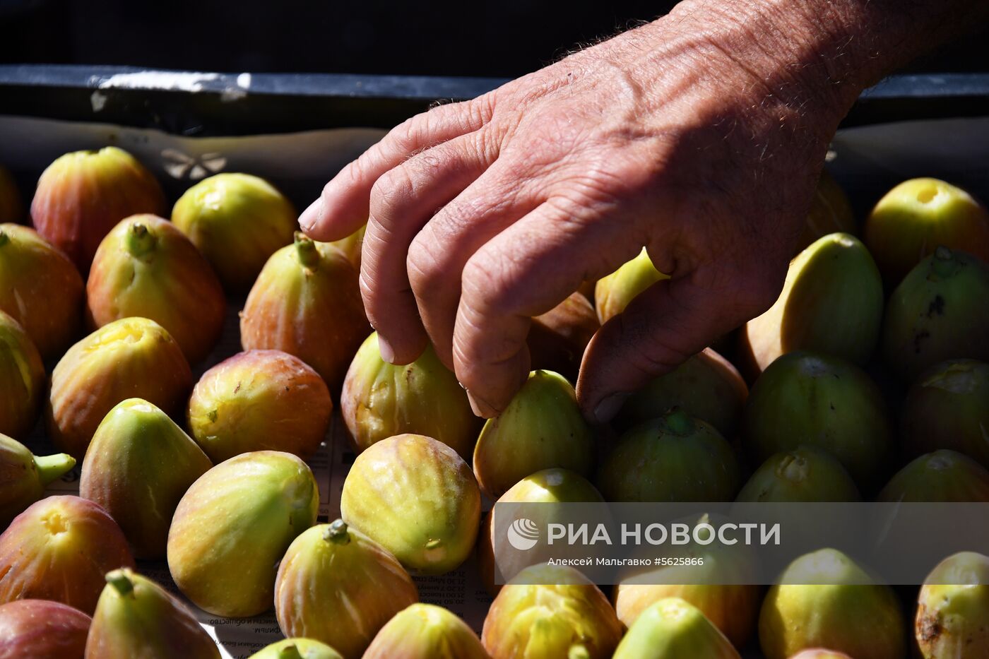 Овощной рынок в Севастополе