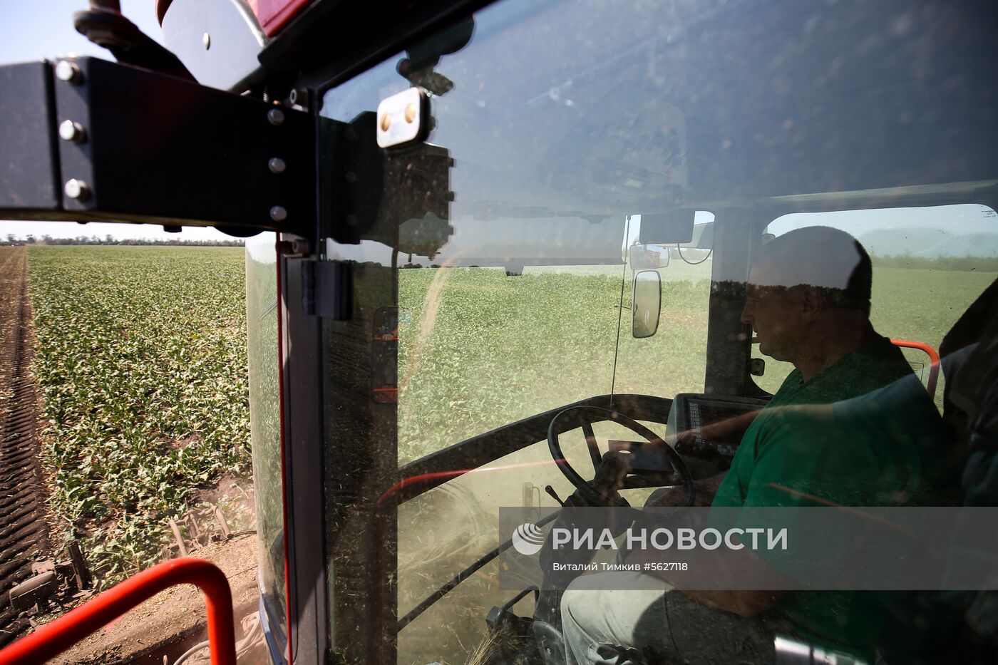 Уборка сахарной свеклы в Краснодарском крае