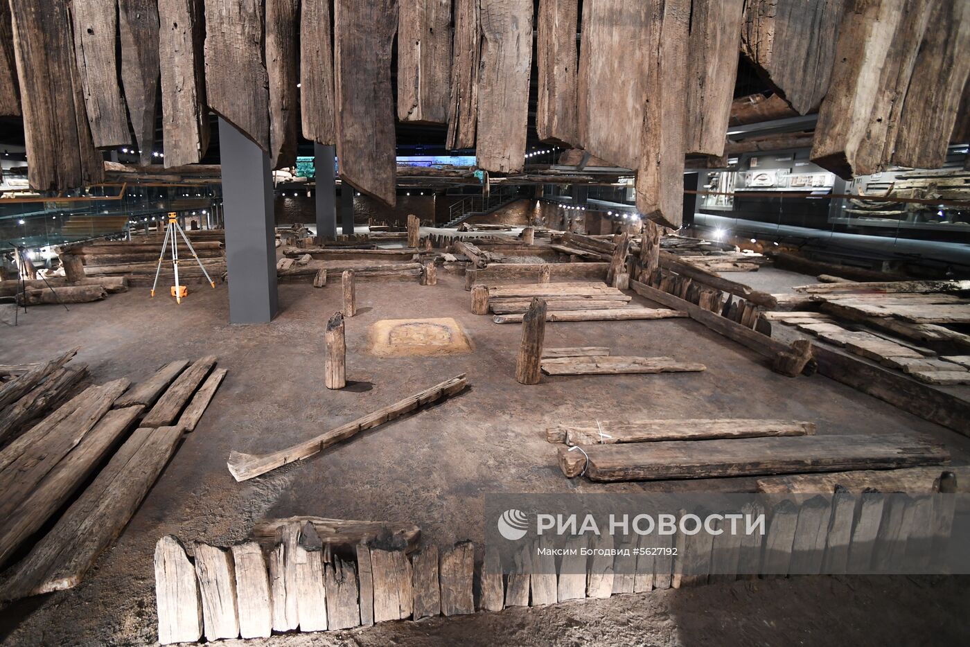 Открытие музея археологического дерева в Свияжске