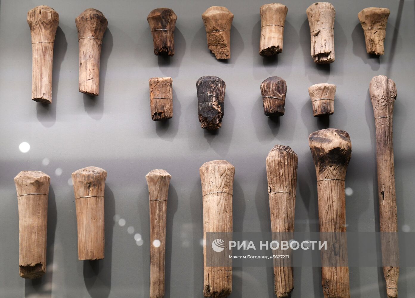 Открытие музея археологического дерева в Свияжске