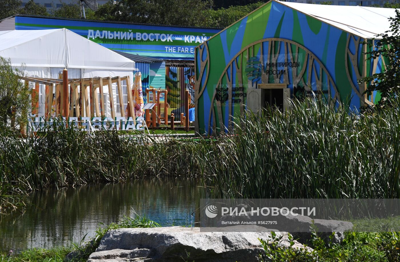 Подготовка к Восточному экономическому форуму