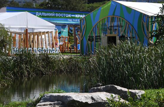 Подготовка к Восточному экономическому форуму