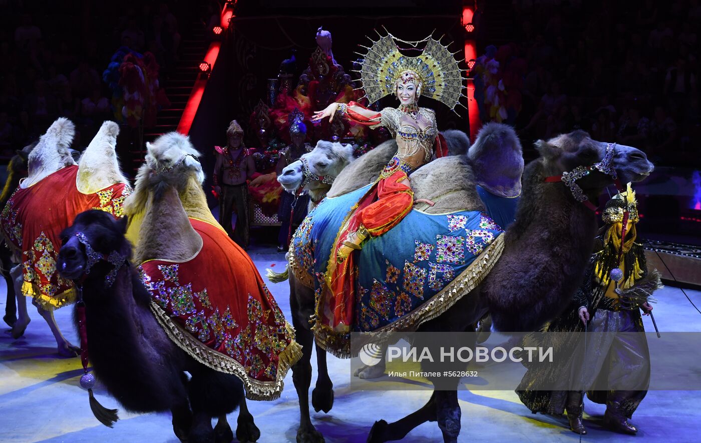 Всемирный фестиваль циркового искусства "Идол"