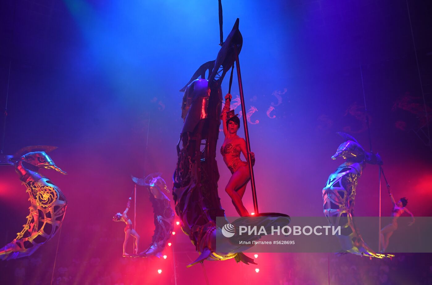 Всемирный фестиваль циркового искусства "Идол"